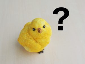 ？マークのひよこ