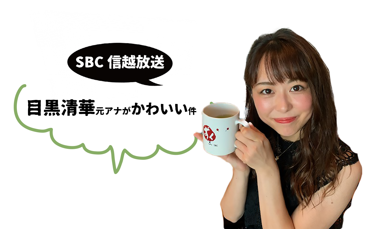 【SBC信越放送】目黒清華さんがかわいい件。貴重な長野県松本市出身の元アナウンサー。