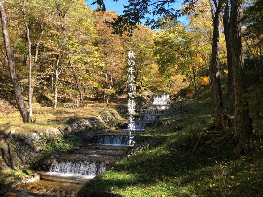 秋の牛伏寺は紅葉を楽しむにおすすめのスポット | 牛伏川フランス式階段工は自然美を堪能できます。