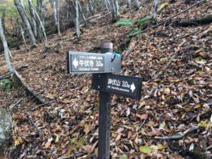 鉢伏山まで3.0㎞地点