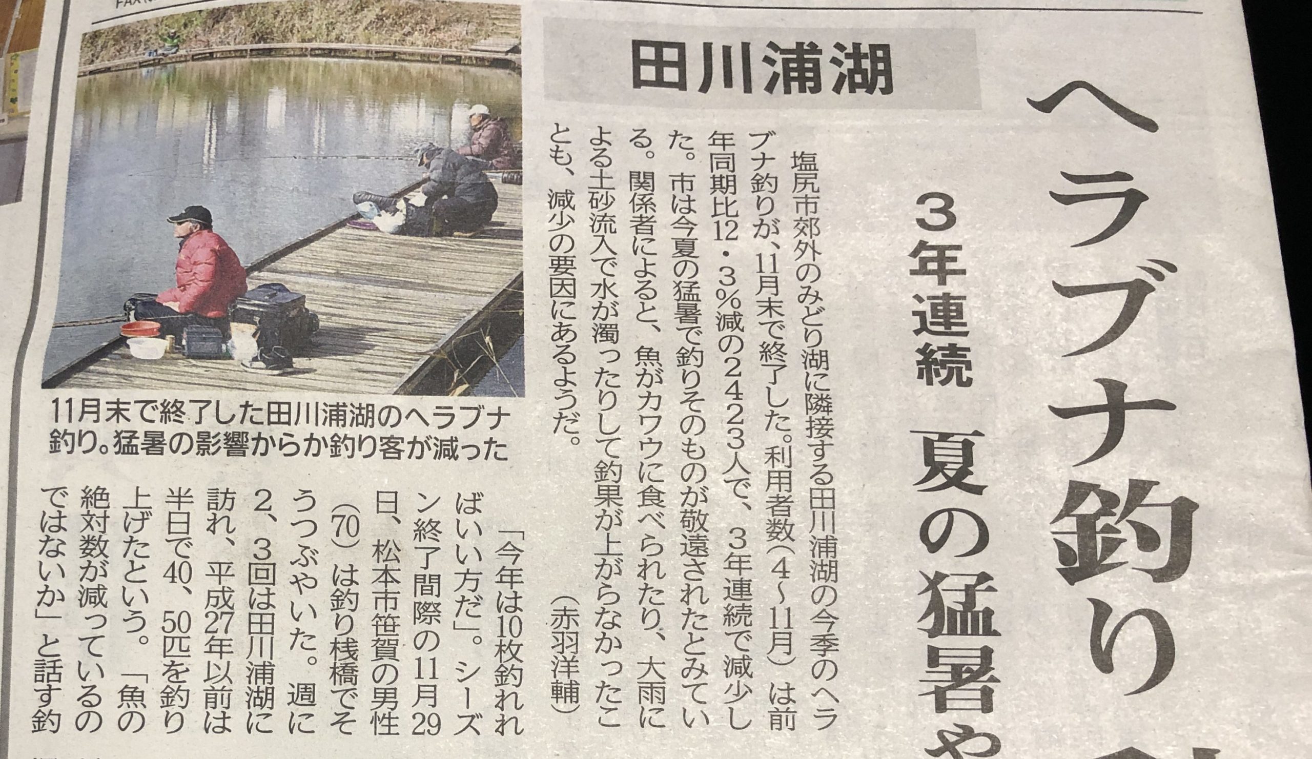 田川浦湖のヘラブナ釣り師が減少傾向という記事
