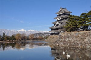 松本城と白鳥のつがい