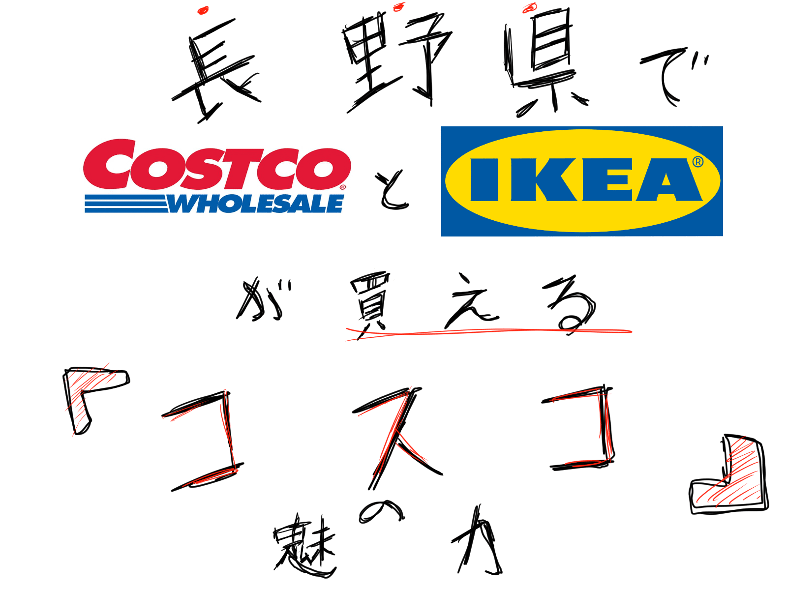 長野県でコストコとIKEA商品が買える「コスコ（ドラッグストア）」の魅力。人気アイテムと食品が想像以上に揃っててビックリ。