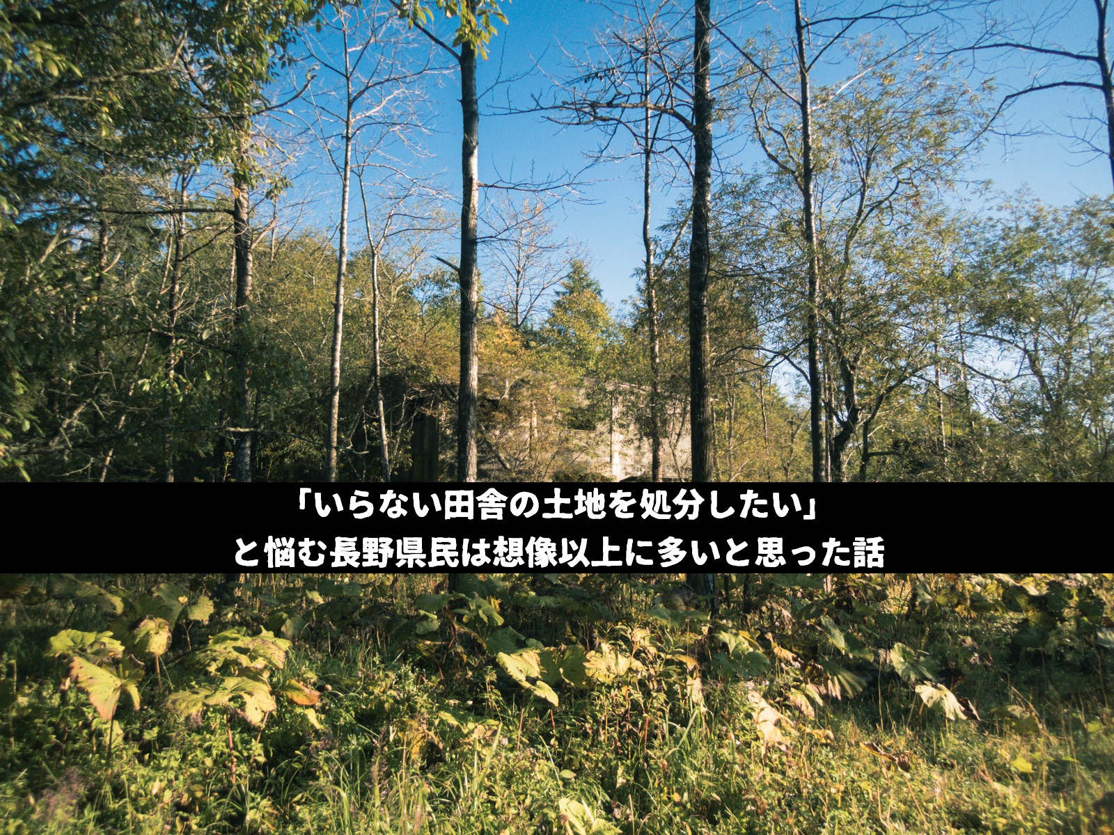 「いらない田舎の土地を処分したい」と悩む長野県民は想像以上に多いと思った話